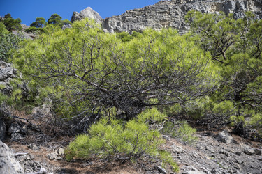 Similar image 21043027