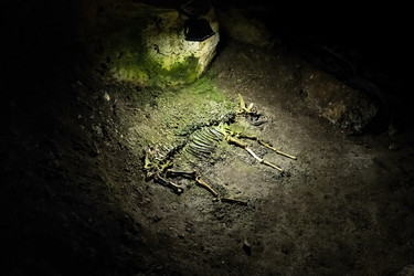 Similar image 21043066