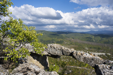 Similar image 21043298