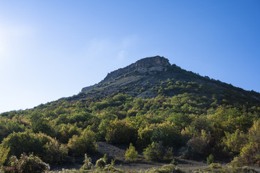 Similar image 21035921