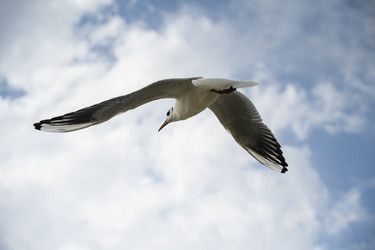 Similar image 21035951