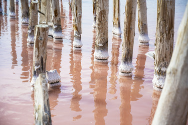 Similar image 21035955