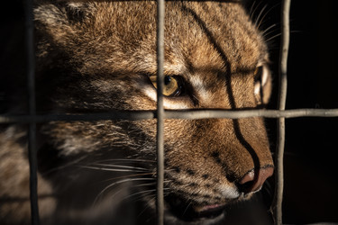 Similar image 21035961