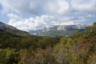 Similar image 21040545