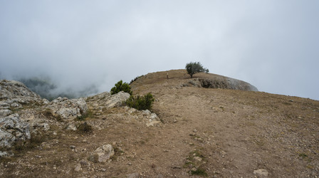 Similar image 21040550