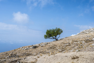 Similar image 21040573