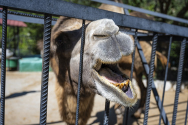 Similar image 21040621