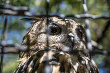 Similar image 21040623