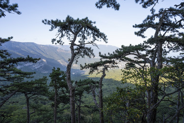 Similar image 21042924