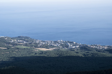 Similar image 21042927