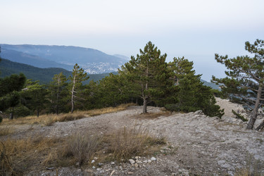 Similar image 21042933