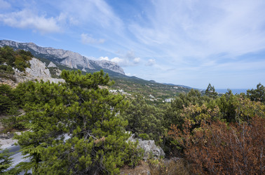 Similar image 21042968