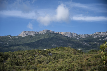 Similar image 21042970