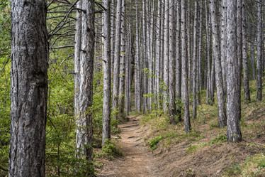 Similar image 21043032