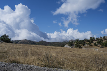 Similar image 21043048