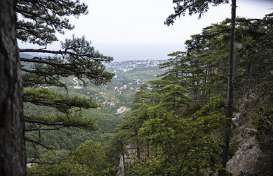 Similar image 21043050