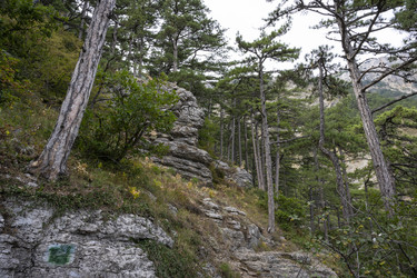 Similar image 21043051