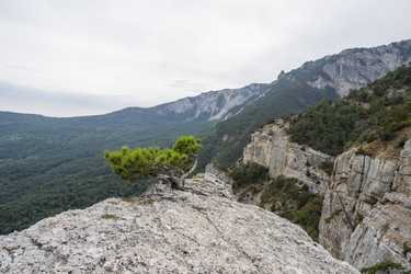 Similar image 21043053