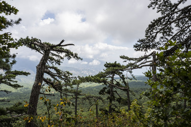 Similar image 21043068