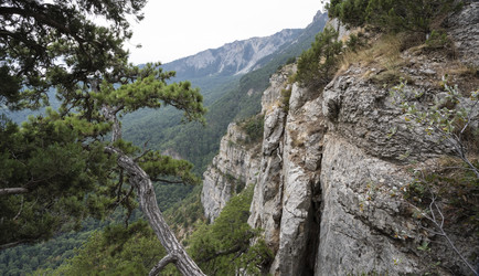 Similar image 21043071