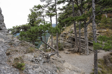 Similar image 21043072