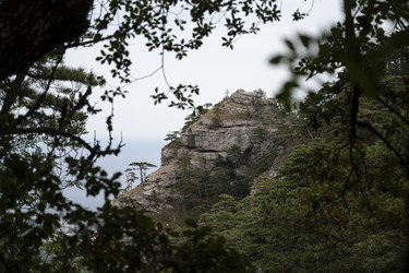 Similar image 21043299