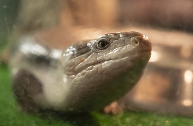 Similar image 21043304