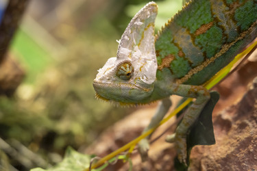 Similar image 21043307