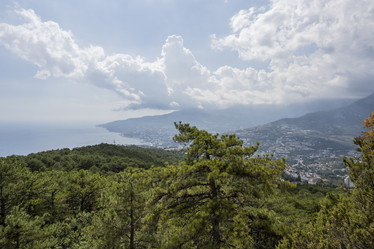 Similar image 21043308