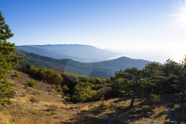 Similar image 21035975