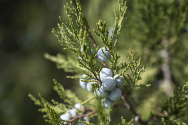 Similar image 21035976