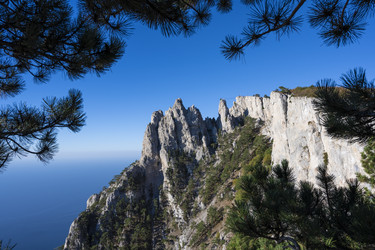 Similar image 21035978