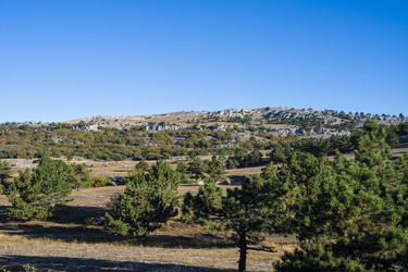 Similar image 21035980