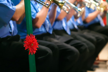 Similar image 21021150