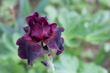 Similar image 21024290