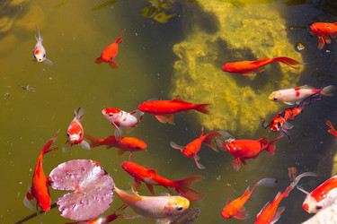 Similar image 21024292