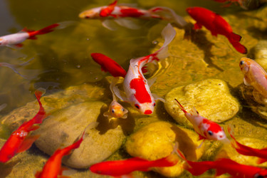 Similar image 21024294