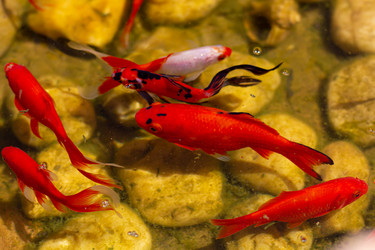 Similar image 21024295