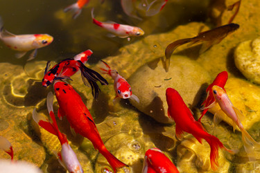 Similar image 21024296