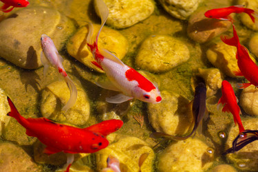 Similar image 21024297