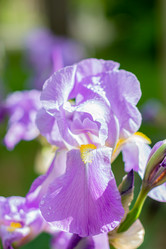 Similar image 21024300