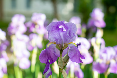 Similar image 21024323