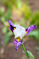 Similar image 21024324