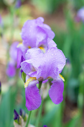 Similar image 21024325