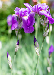 Similar image 21024327