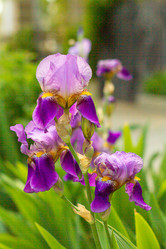 Similar image 21024330