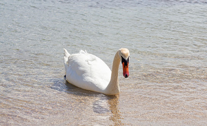 Similar image 21024334