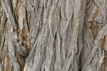 Similar image 21024335