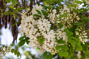 Similar image 21024336