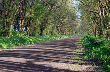 Similar image 21024339